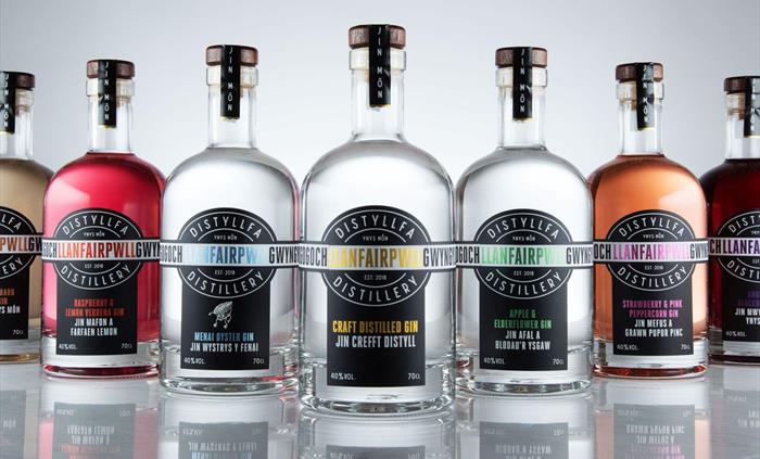 Llanfairpwll Distillery